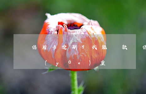 信用卡逾期9次能貸款嗎(信用卡逾期10次嚴(yán)重嗎)
