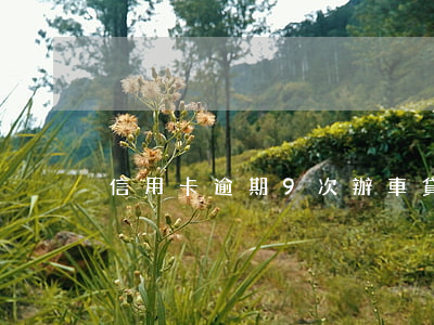 信用卡逾期9次辦車貸