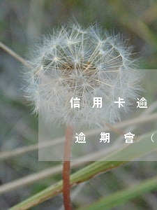 信用卡逾期9百多元(9萬(wàn)信用卡逾期會(huì)坐牢嗎)