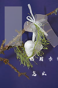 信用卡逾期9萬3個月了 9萬信用卡逾期會怎么樣
