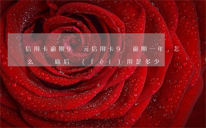 信用卡逾期9萬元(信用卡9萬逾期一年會怎么樣開庭后費(fèi)用是多少)