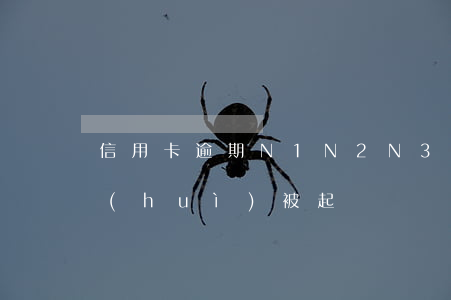 信用卡逾期N1N2N3(信用卡逾期多久會(huì)被起訴)