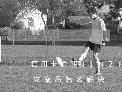 信用卡逾期N1N2N3(信用卡逾期被起诉立案后怎么解决)