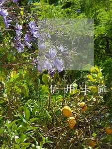 信用卡逾期QQ郵箱收到公告涵