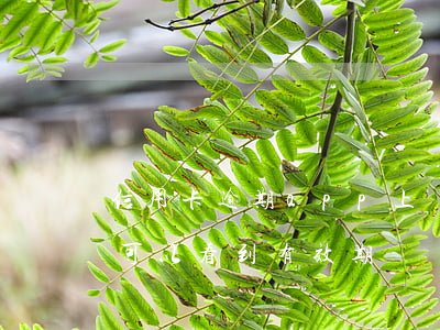 信用卡逾期app上會顯示嗎(信用卡app可以看到有效期嗎)