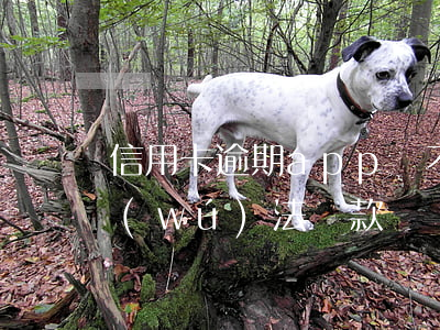 信用卡逾期app還不了款(信用卡app無(wú)法還款)