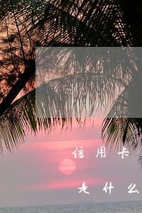 信用卡逾期b級是什么意思(信用卡逾期b級是什么意思)