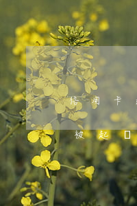 信用卡逾期ems被起訴(信用卡逾期ems被起訴)