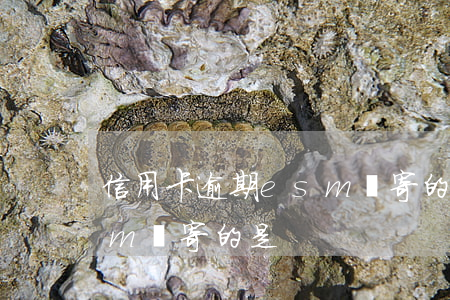 信用卡逾期esm郵寄的是(信用卡逾期esm郵寄的是)