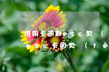 信用卡逾期etc欠費(fèi)怎么辦-etc卡因欠費(fèi)不能用要怎么辦
