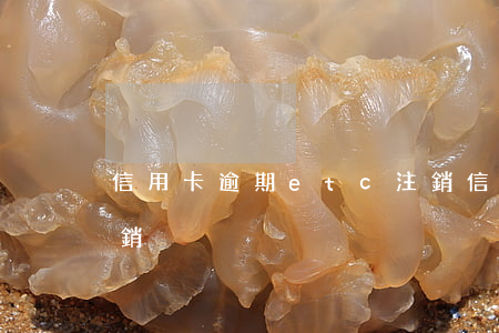 信用卡逾期etc注銷(信用卡逾期etc注銷)
