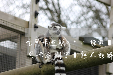 信用卡逾期etc能解綁嗎(etc綁定的信用卡逾期了還能不能解綁)