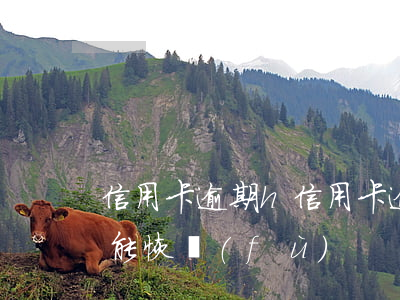 信用卡逾期h(信用卡逾期還清后征信的多久能恢復(fù))