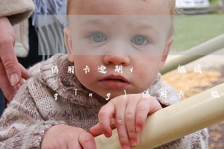 信用卡逾期i貸還能提嗎(征信有逾期申請(qǐng)信用卡還能下嗎)