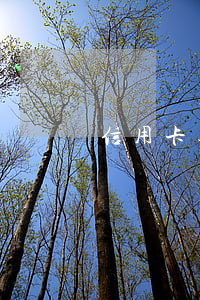 信用卡逾期m1-信用卡逾期m1階段是指