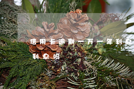 信用卡逾期一万一年利息(信用卡逾期1天有利息吗)