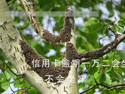 信用卡逾期一万二会坐牢吗(欠信用卡一万二会不会坐牢)
