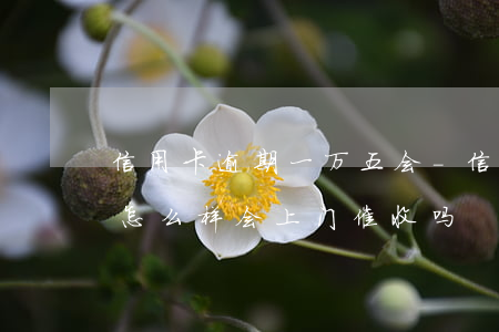 信用卡逾期一万五会-信用卡逾期一万五会怎么样会上门催收吗