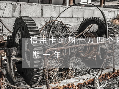 信用卡逾期一万四个月 四万额度的信用卡逾期一年