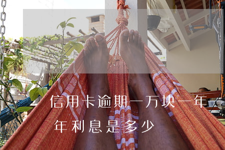 信用卡逾期一万块一年(一万块信用卡逾期一年利息是多少)