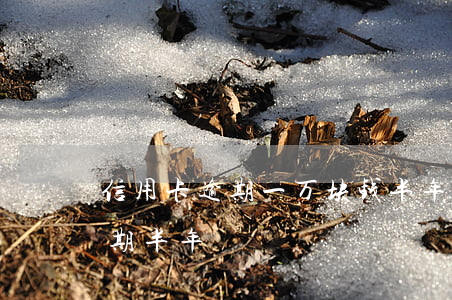 信用卡逾期一万块钱半年(几千块钱信用卡逾期半年)
