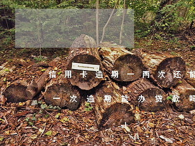 信用卡逾期一两次还能办贷款吗(近两年内有一次逾期能办贷款吗)
