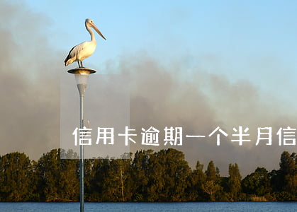 信用卡逾期一个半月（信用卡逾期一个半）