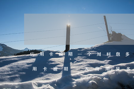 信用卡逾期一个周利息多少钱 一万块钱的信用卡逾期一天费用是多少?