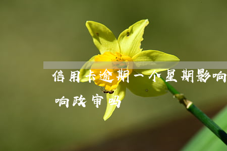 信用卡逾期一个星期影响政审(欠信用卡会影响政审吗)