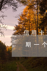 信用卡逾期一个月了没还会怎么-信用卡逾期一个月了没还会怎么样