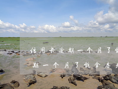 信用卡逾期一个月了能拿房产证吗(信用卡逾期一个月了能拿房产证吗)