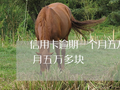 信用卡逾期一个月五万多块(信用卡逾期一个月五万多块)