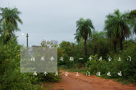 信用卡逾期一个月会上门催收吗(信用卡逾期两个月会上门催收吗)