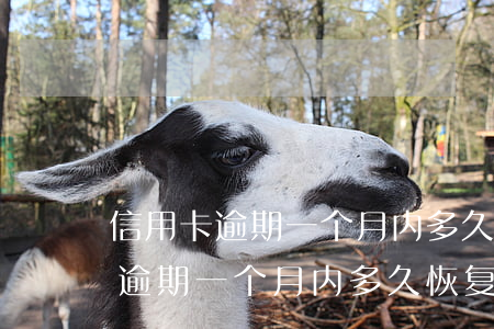 信用卡逾期一个月内多久恢复信用-信用卡逾期一个月内多久恢复信用额度