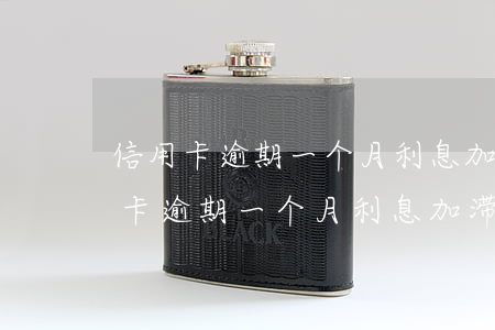 信用卡逾期一个月利息加滞纳金多少-信用卡逾期一个月利息加滞纳金多少钱