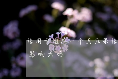 信用卡逾期一个月后果(信用卡逾期1个星期影响大吗)
