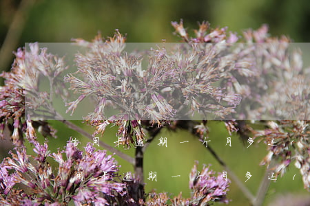信用卡逾期一个月多还1000正常吗-信用卡逾期一个月多还1000正常吗会怎么样