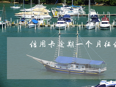 信用卡逾期一个月征信会变吗