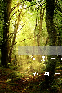 信用卡逾期一个月怎么办停息挂账-信用卡逾期一个月怎么办停息挂账的