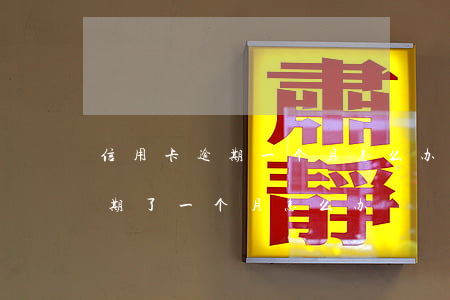 信用卡逾期一个月怎么办在换上上(信用卡逾期了一个月怎么办)
