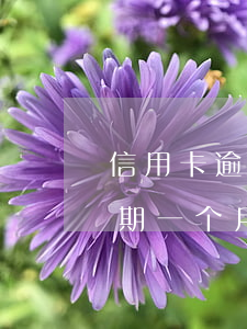 信用卡逾期一个月没还会降额吗-信用卡逾期一个月没还会降额吗怎么办