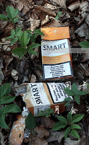 信用卡逾期一个月算一次吗(信用卡逾期两个月会有什么后果)