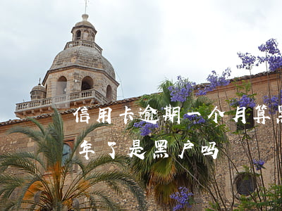 信用卡逾期一个月算黑户么 我信用卡逾期半年了是黑户吗