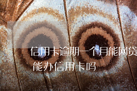 信用卡逾期一个月能网贷吗(网贷有一次逾期能办信用卡吗?)