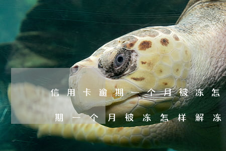 信用卡逾期一个月被冻怎样解冻-信用卡逾期一个月被冻怎样解冻银行卡