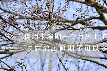 信用卡逾期一个月还上了上期-有一期信用卡忘记还,逾期了,可以多还一些么