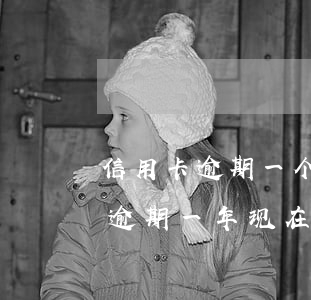 信用卡逾期一个月还两三百(信用卡3000逾期一年现在还多少)