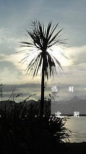 信用卡逾期一个月还了还能再用吗-信用卡逾期一个月还了还能再用吗有影响吗