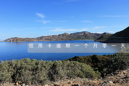 信用卡逾期一个月零一天(信用卡逾期1天)
