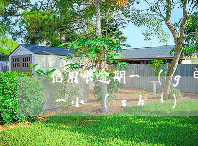 信用卡逾期一個(gè)多星期(信用卡逾期一小時(shí))